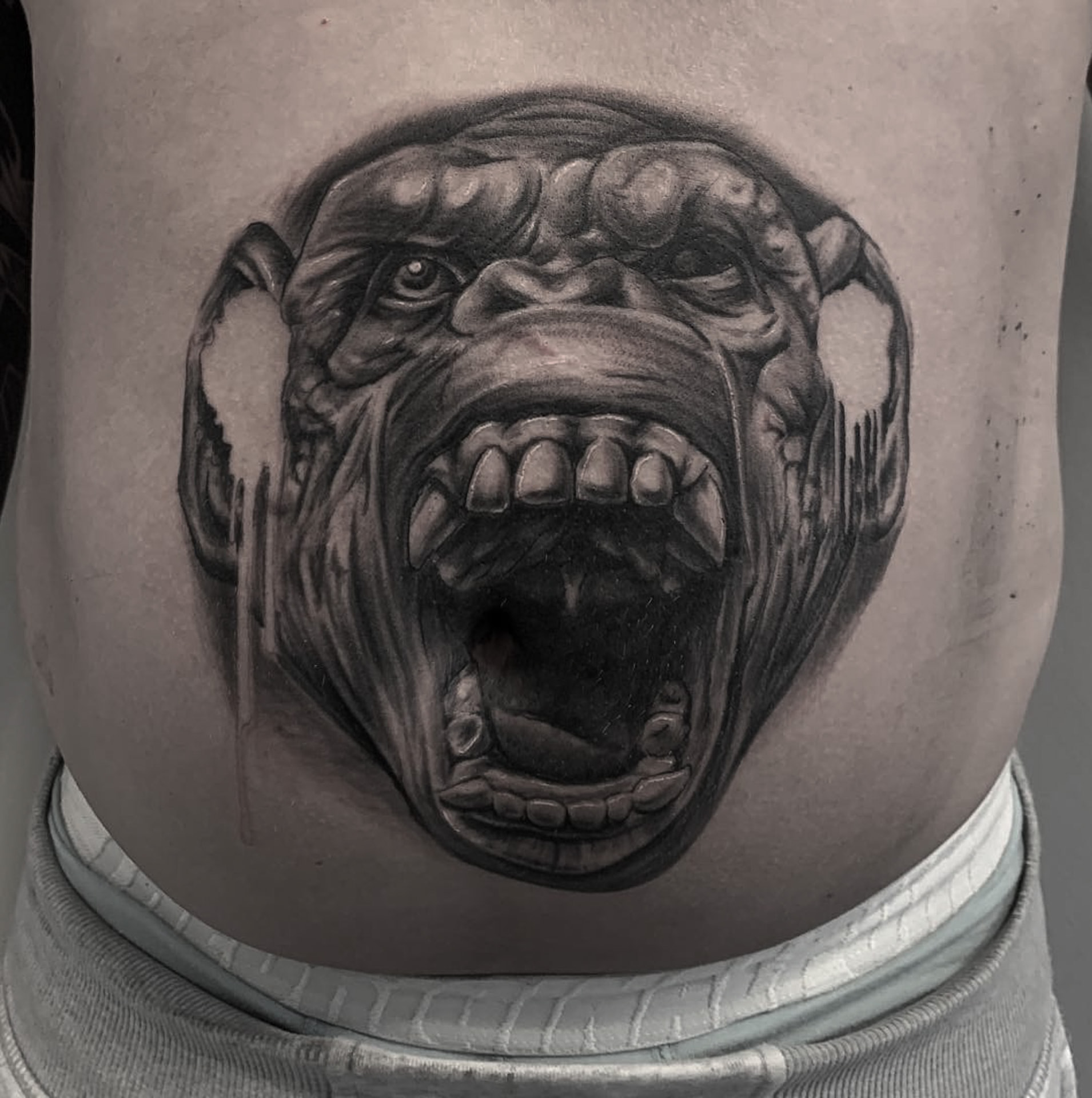 Black and grey tatovering af brølende abe med detaljeret pels på mave