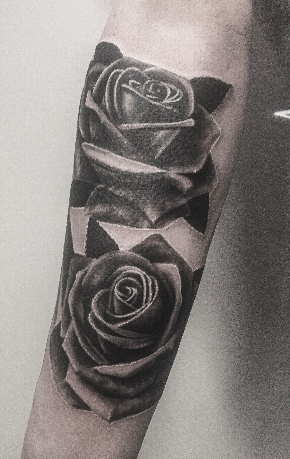 Black and grey tatovering af to realistiske roser på underarm