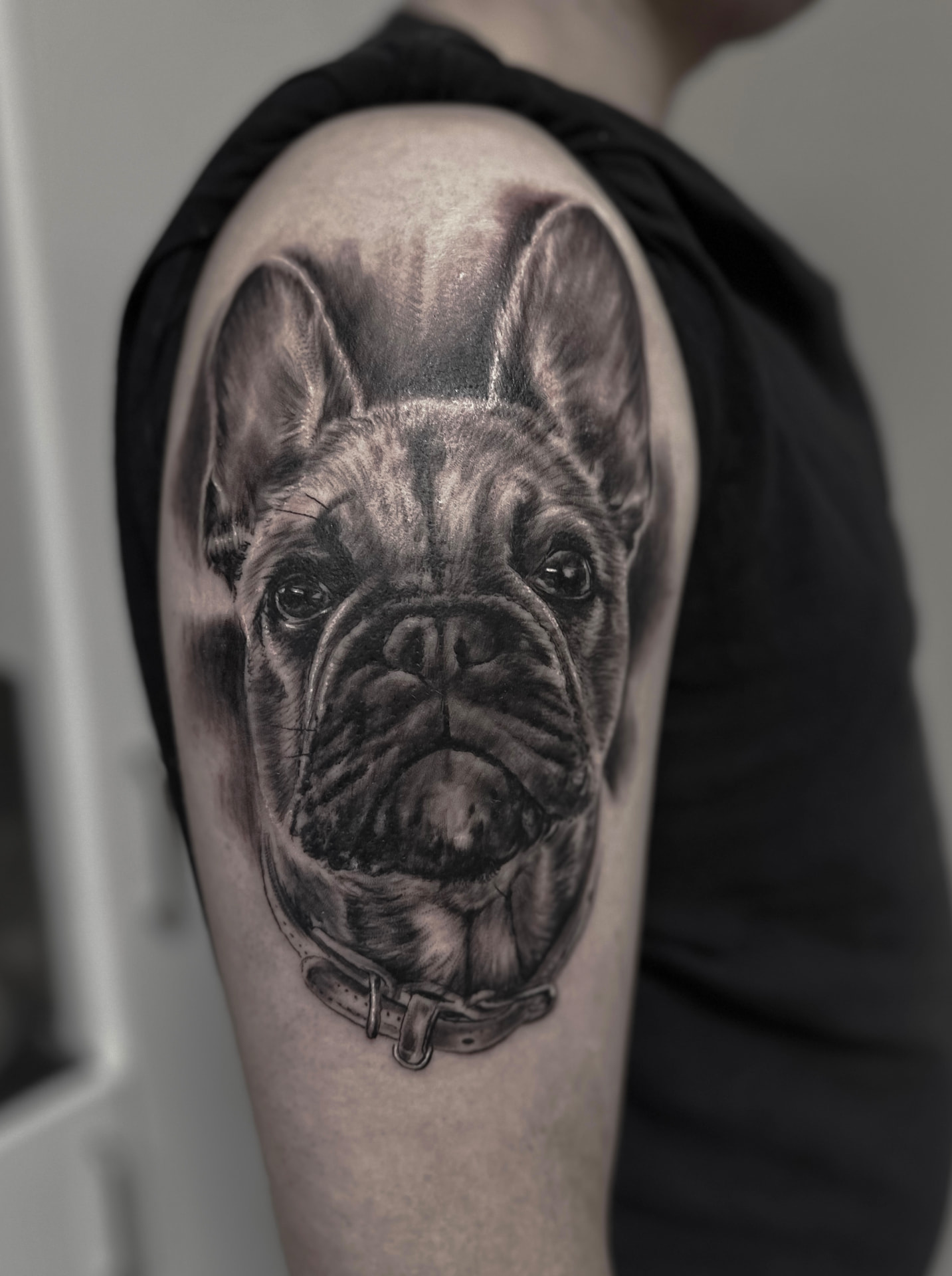 Realistisk black and grey portræt af fransk bulldog på overarm