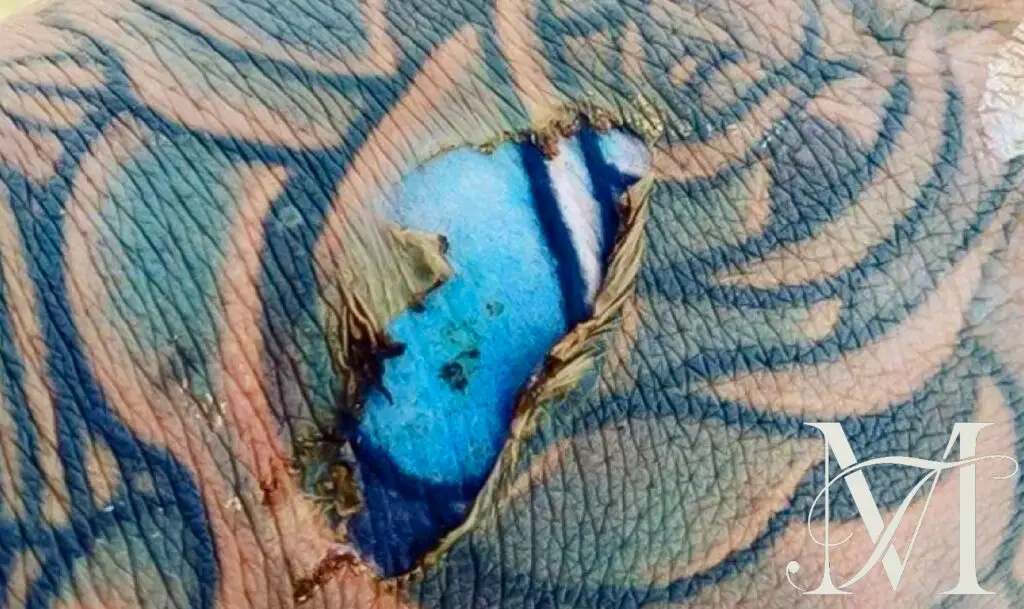 Realistisk tatovering i blå og hudfarver – eksempel på heling og beskyttelse mod sol efter tatovering | Tattoo Mini København