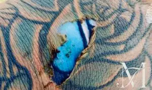 Realistisk tatovering i blå og hudfarver – eksempel på heling og beskyttelse mod sol efter tatovering | Tattoo Mini København