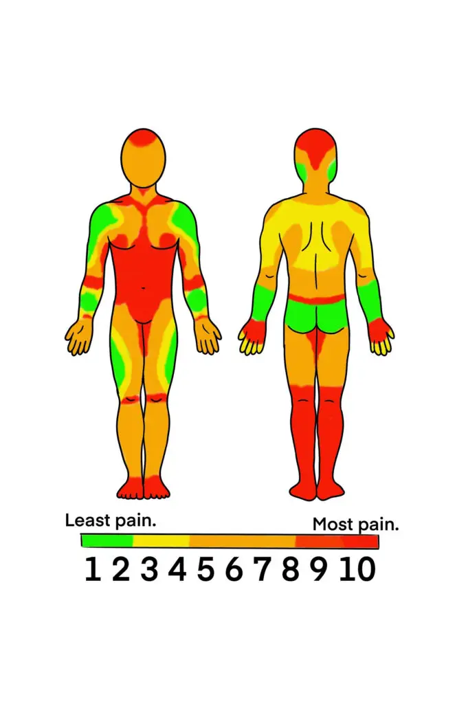 Smertekort for tatovering – illustration af kroppen forfra og bagfra, der viser hvilke områder der gør mindst og mest ondt at blive tatoveret, angivet med farveskala fra grøn til rød. Tattoo Mini